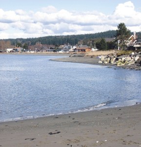 A portion of a human skull found along this section of Maxwelton Beach is believed to belong to a homicide victim.
