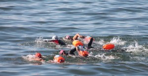 A group of South Whidbey Island Masters swimmers cruise through Saratoga Passage