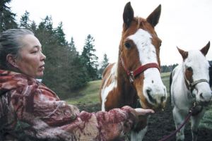 Barbara Muzzy feeds the hopefully soon-to-be adopted Lacy and the recently taken Frosty. Hard times led Muzzy to the difficult decision to give away her beloved horses.