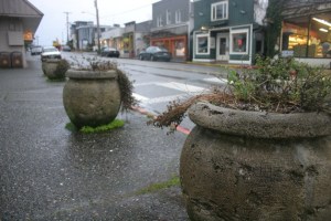 Planters like these on First Street
