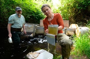 Whidbey Watershed Stewards volunteer Gregg Ridder and Robin Clark