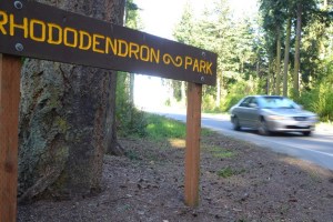 Cars may have to hit the brakes on Patmore Road in the future. Neighbors proposed lower speed limits on Patmore Road and Classic Road.