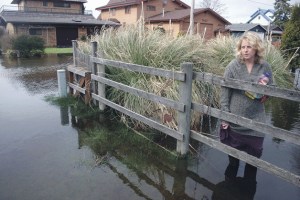 Sommer Albertsen surveys flooding damage to her family’s cabin along lower Maxwelton Road on Thursday. “It is what it is
