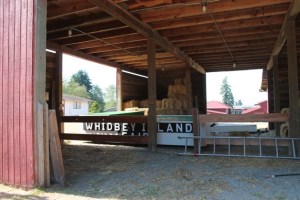 The Island County Fairgrounds’ future is shrouded in uncertainty as the county commissioners consider maintenance funding options Monday.