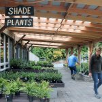 Nursery co-owner Garth Heggenes brought his team from his other business, Pacific Landscapes of Whidbey, to do the landscaping work at the nursery.