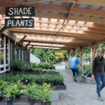 Variety of plants, landscapes on view at new nursery in Clinton