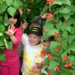 Mark Dworkin photo                                South Whidbey School District&rsquo;s Garden Program will be featured in an upcoming screening of Cultivating Kids on Nov. 2 at the Clyde Theater in Langley.