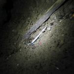 Evan Thompson / The Record                                A used syringe was found underneath the patio deck of the Dog House in Langley during a patrol by Langley Police Officer Mason Shoudy on Thursday, Oct. 4.