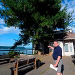 Record file                                In June, Langley Public Works Director Stan Berryman points out the old pine tree next to Village Pizzeria. The tree will get the ax following an arborist report by Eli Walton of Oak Harbor&rsquo;s Pioneer Tree Service and Landscaping.