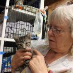 Kyle Jensen / The Record                                Oasis for Animals owner Jean Favini holds a kitten who survived the fire. Favini has been treating the cats with diuretics and antibiotics.