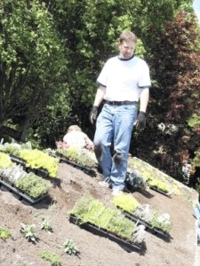 Landscape architect Jason Henry walks across the “living roof” on the picnic shelter at the Clinton Beach park before it was planted last Saturday.