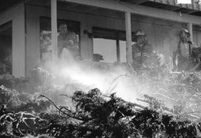 Smoldering juniper shrubs are the result of a backyard fire Wednesday at a house in Langley. Kevin Simmons