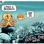 Steve Sack