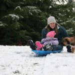 Kyle Jensen / The Record                                Tracy McKnight and her daughter Sadie McKnight race their German Shepherd puppy, Rason.