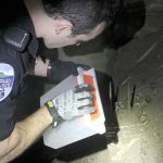 Evan Thompson / The Record                                Langley Police Officer Mason Shoudy uses a Sharps container to collect a used heroin syringe needle found underneath the Dog House in November.