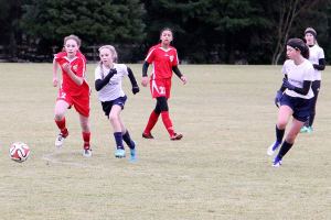 Parks district OK’s soccer game while fields remain closed