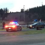 Megan Hansen / Whidbey News Group &mdash; Police block a sea lion from crossing Highway 525 in Freeland.