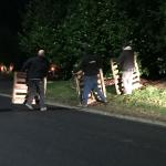 Megan Hansen / Whidbey News Group &mdash; Good Samaritans work together using wooden pallets to herd the sea lion down South Cameron Road toward Holmes Harbor.