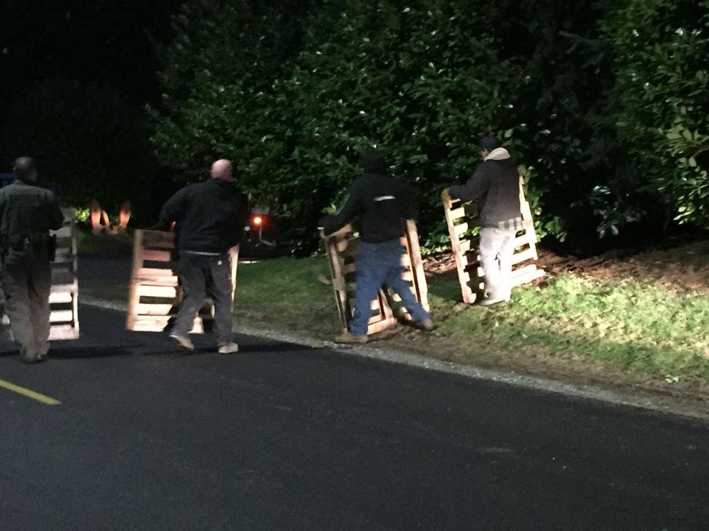 Megan Hansen / Whidbey News Group &mdash; Good Samaritans work together using wooden pallets to herd the sea lion down South Cameron Road toward Holmes Harbor.