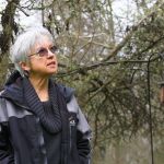 Ron Newberry / Whidbey News Group                                Linda Bainbridge has spotted more than 90 species of birds on her wooded five-acre property in Greenbank. She attracts them by placing feeders in spots that give the birds some cover from predators and not too close to windows to help prevent window strikes.