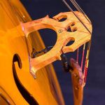 Contributed photo &mdash; O&rsquo;Donnell&rsquo;s bass, Emi, has a heart carved into the bridge. She says it embodies her work and approach to life.