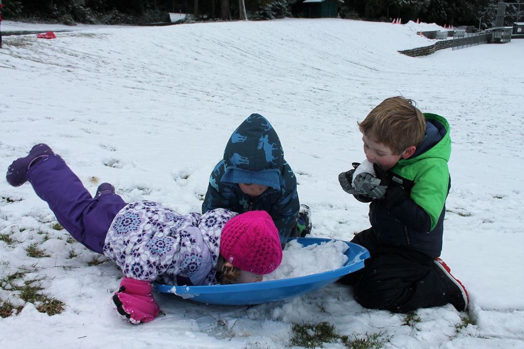 Kyle Jensen / The Record &mdash; While some focused on ripping downhill and picking up speed, others preferred the taste of the snow. Left to right: Summer Mozer, 2, Wesley Samuelson, 4, and Axton Mozer.