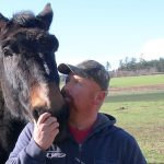 Animal mutilations terrifying Whidbey Island family