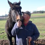 Whidbey News Group photo                                Wednesday afternoon, North Whidbey resident John Wallace visits with Buster, a mule that suffered a mysterious eye injury earlier this month.