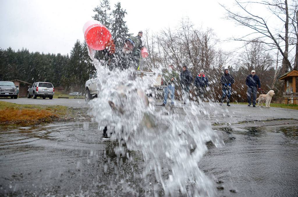 SLIDESHOW | Lone Lake swimming with rainbows; fly clubs dump 500 pounds of trout into ‘regional’ fishing hole
