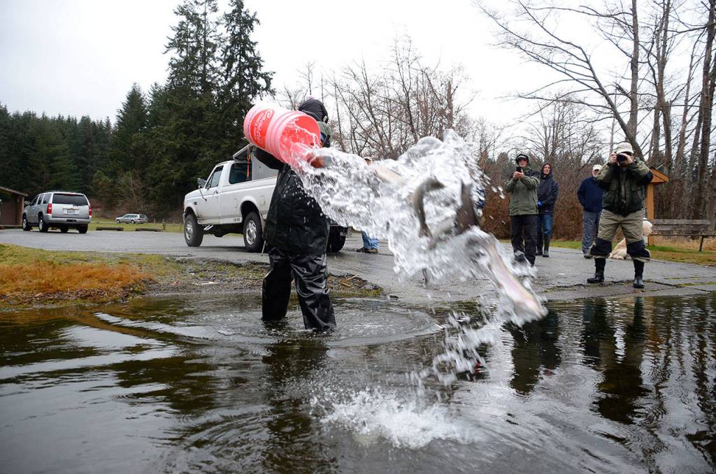 SLIDESHOW | Lone Lake swimming with rainbows; fly clubs dump 500 pounds of trout into ‘regional’ fishing hole
