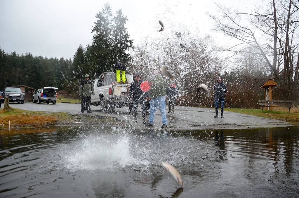 SLIDESHOW | Lone Lake swimming with rainbows; fly clubs dump 500 pounds of trout into ‘regional’ fishing hole