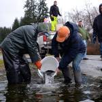 SLIDESHOW | Lone Lake swimming with rainbows; fly clubs dump 500 pounds of trout into ‘regional’ fishing hole