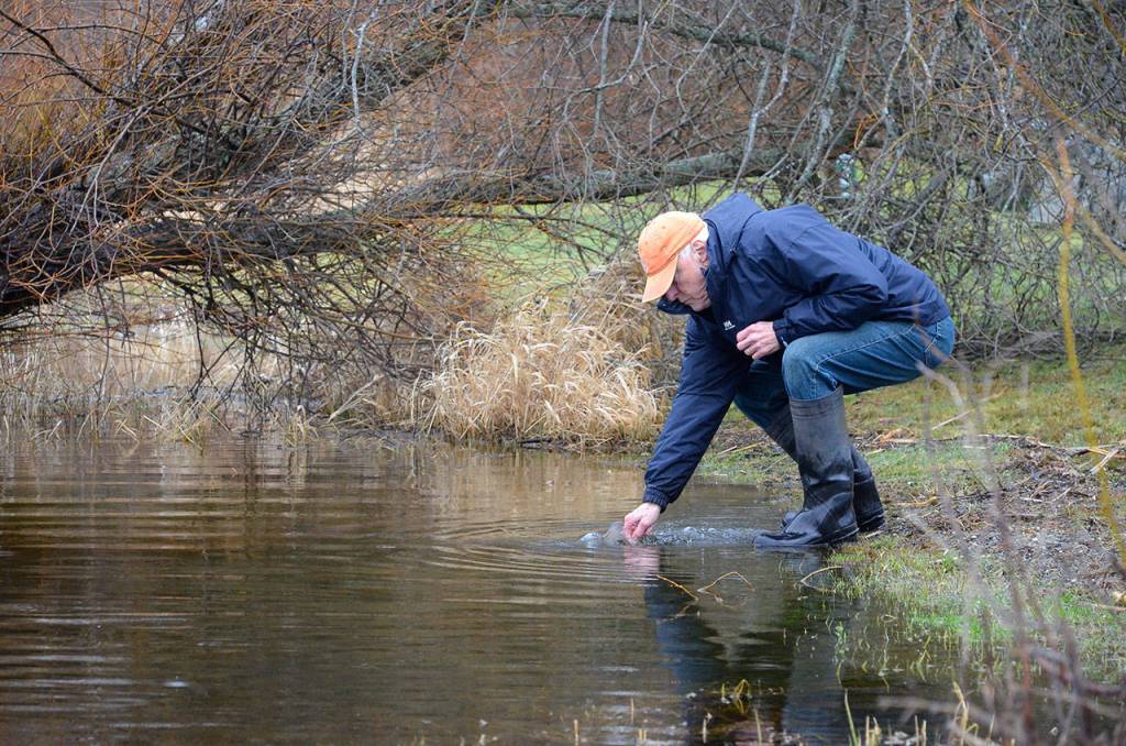 SLIDESHOW | Lone Lake swimming with rainbows; fly clubs dump 500 pounds of trout into ‘regional’ fishing hole