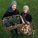 Contributed photo &mdash; Nathaniel Talbot and Annie Jesperson of Deep Harvest Farm in Freeland gather produce for their winter shares, which the farm isn&rsquo;t offering this year after a harsh winter.