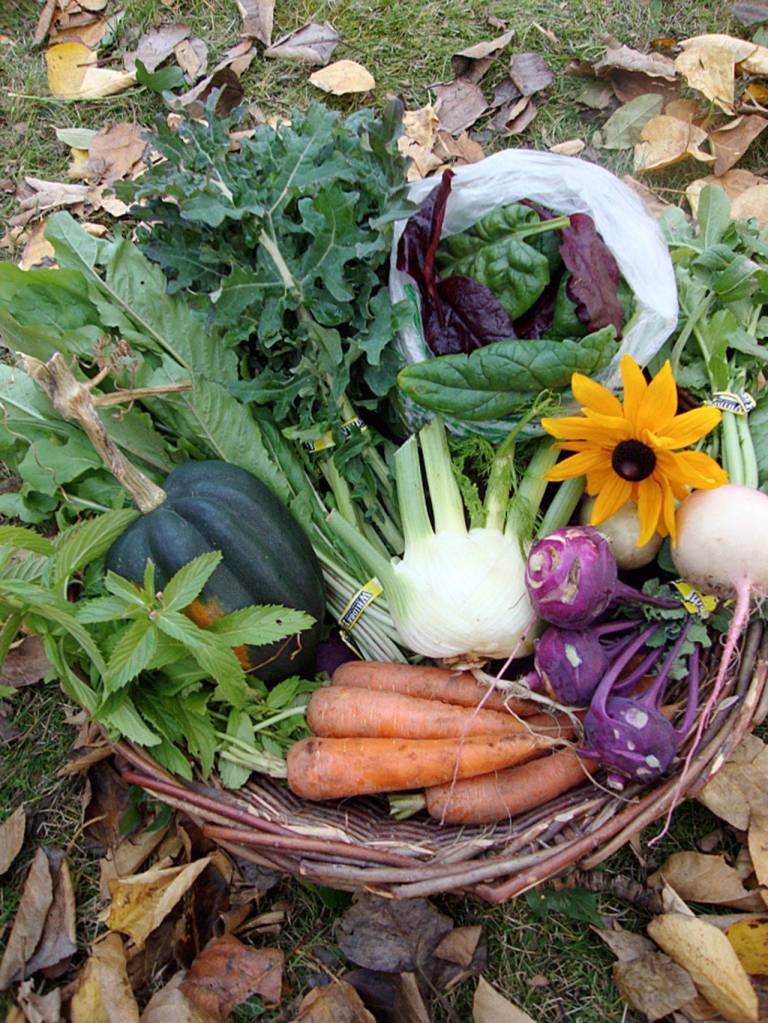 Contributed photo &mdash; CSA boxes are typically provided weekly and are stocked with an array of produce. Customers normally stop by the farm to pick up their boxes.