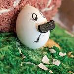 Reimagining books into edible creations, the Whidbey way