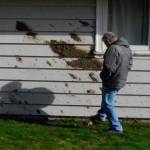 Justin Burnett/The Record &mdash; Rob Haines kicks a rock near mud that splattered on a neighbor&rsquo;s home during a mudslide which damaged his home Monday morning on Columbia Beach Drive in Clinton.