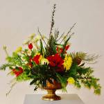 Arrangement by Tobey Nelson