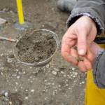 Freeland sewers a bust? Board looks to business community for direction | CORRECTED