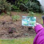 Rabbits raid Langley City Hall garden, but overall population appears to be on the decline