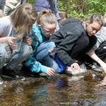 Elementary school students bid adieu to 234 salmon