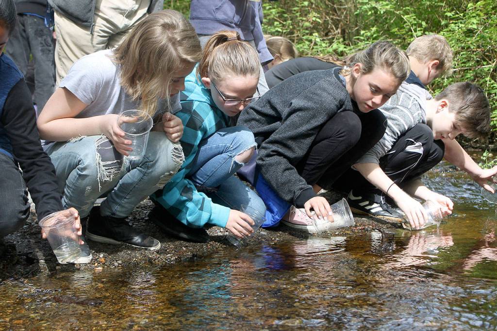 Elementary school students bid adieu to 234 salmon
