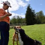 Kyle Jensen / The Record &mdash; Kiernan holds treats for Murray and Walter, a 7-year-old pit bull and lab mix.