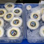 Bayview Farmers Market official reports strong opening day