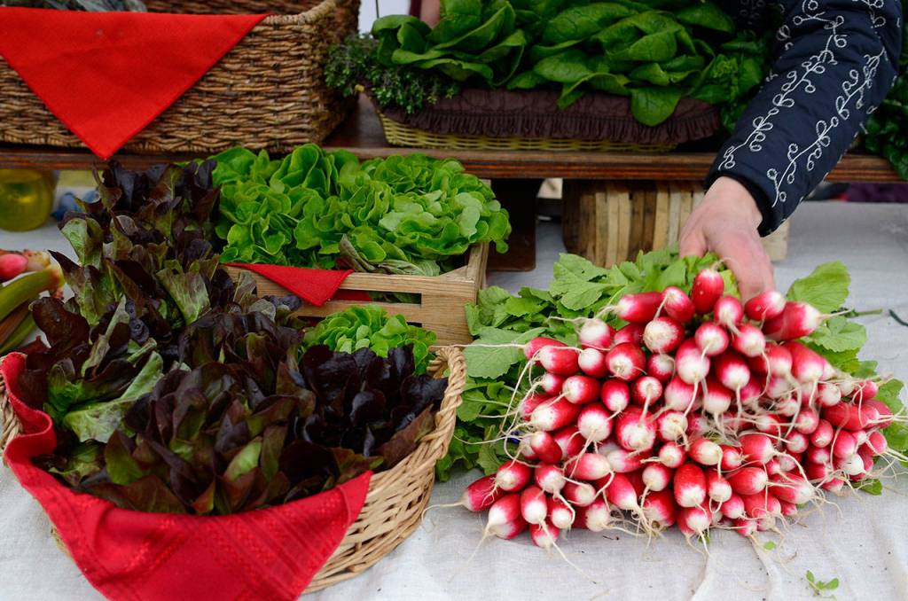 Bayview Farmers Market official reports strong opening day