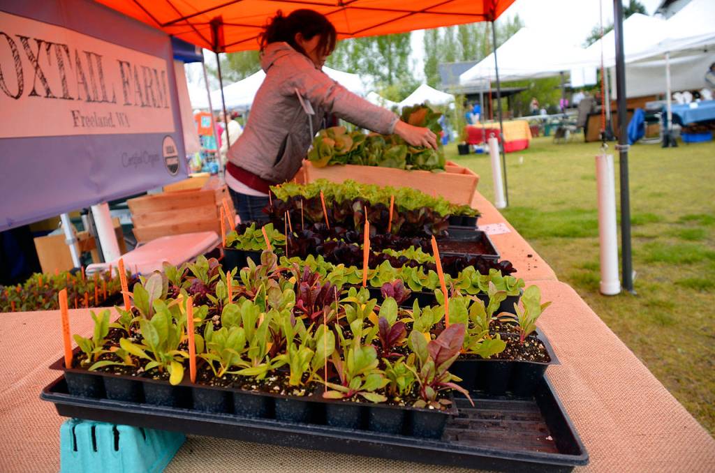 Bayview Farmers Market official reports strong opening day