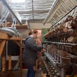 Clinton woman spins success with industrial fiber mill