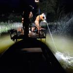 Bow fishermen return to Lone Lake for carp