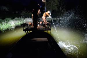 Bow fishermen return to Lone Lake for carp