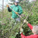 Annual workday draws over 300 volunteers to fix 36 homes
